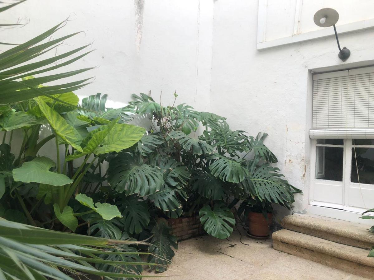 Apartamentos Tukasa Vintage Caceres Exterior photo